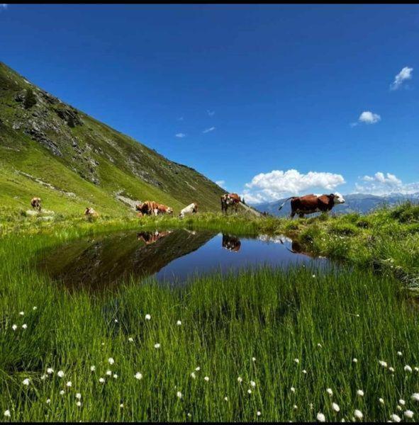 Das Zauberhaft Mayrhofen Bagian luar foto
